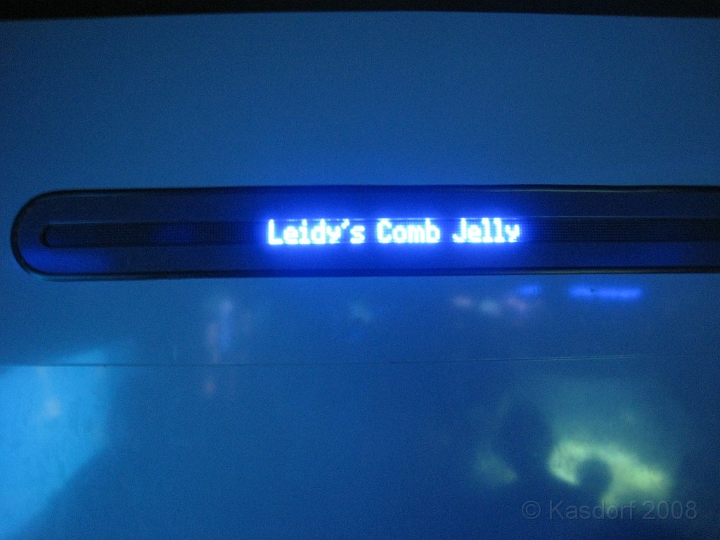 Baltimore MD 2009 1220.jpg - A 4th of July trip to Washington DC in 2009 included a stop in Baltimore MD to see the National Aquarium.